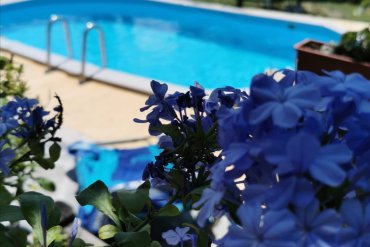 Piscina in acciaio fuori terra White Pool 610x360x130 cm: elegante, robusta e perfetta per il relax in giardino sia di giorno che di sera. Installazione su decking in legno per un ambiente moderno e accogliente.