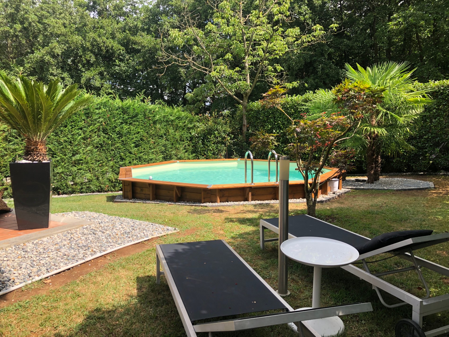 Piscine de jardin élégante avec structure en bois traité