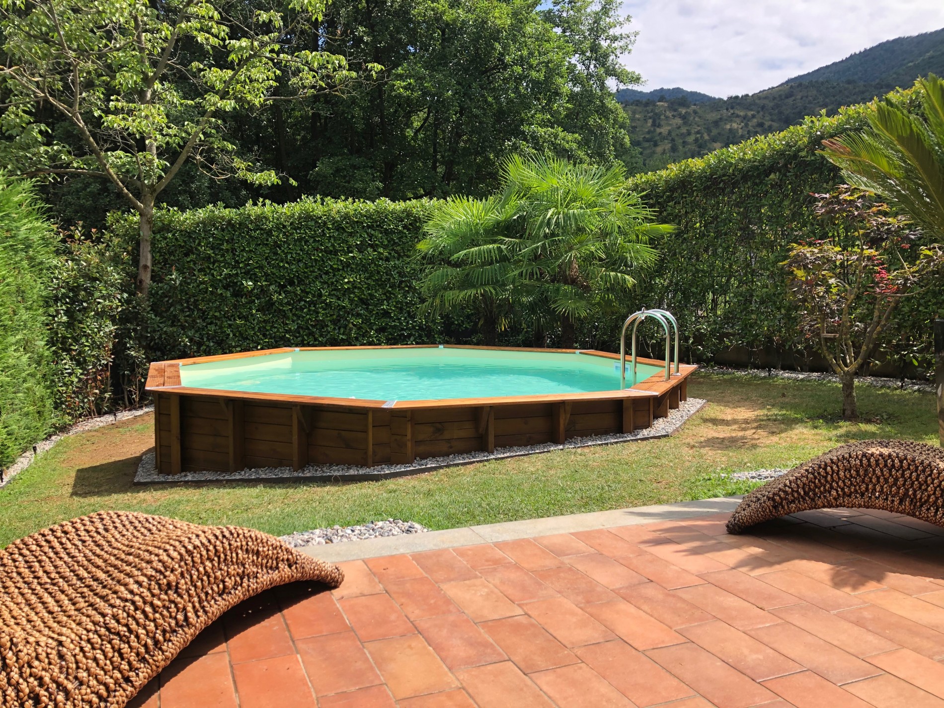 Piscine hors sol décorative avec haies et palmiers en arrière-plan