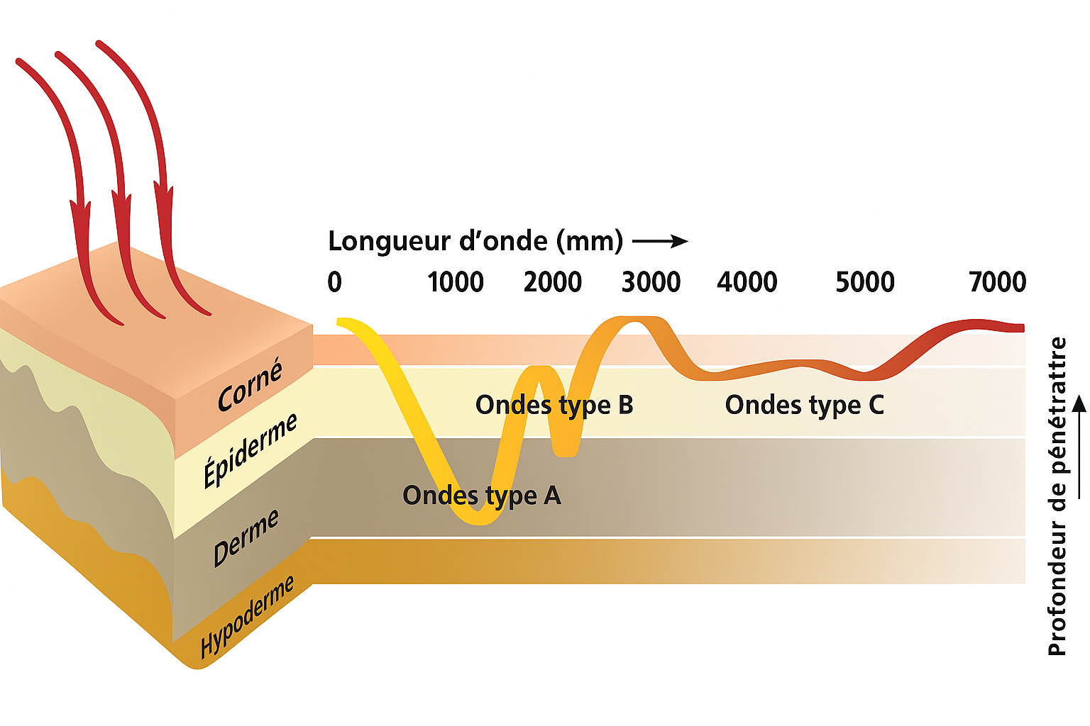cabine_calore_lunghezze_onda.jpg