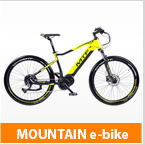 vélos mountain e-bike électriques